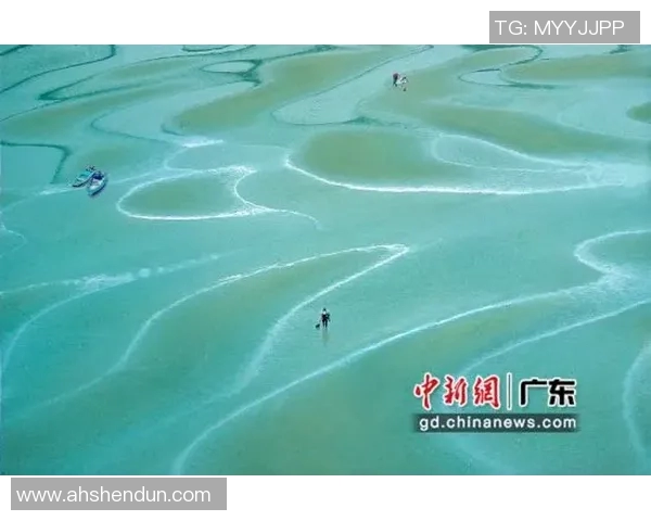 最新研究显示：海洋中发现新型微生物生物多样性异常丰富