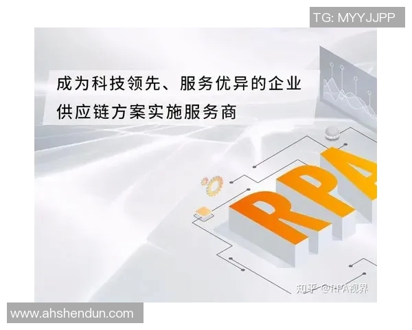 南京排球队的运营体系与战术创新探索之路